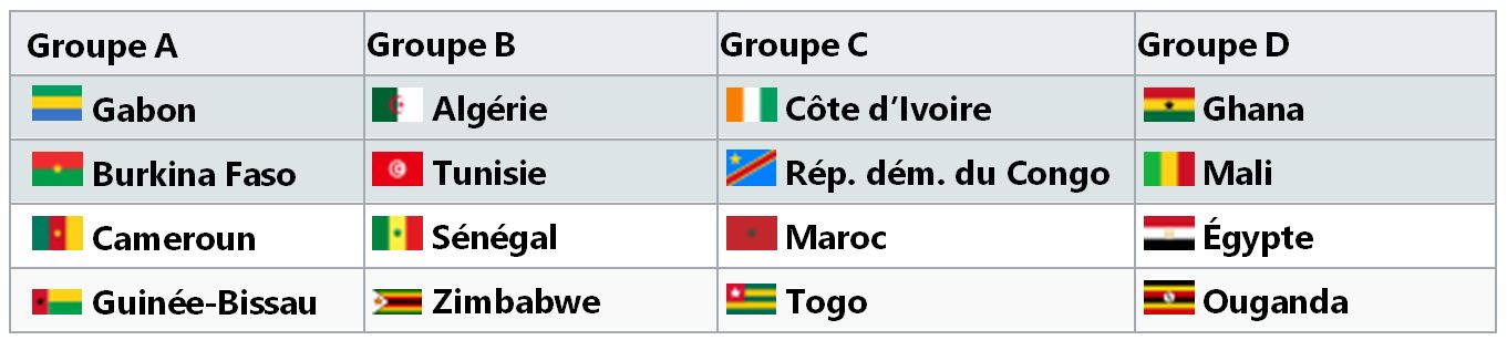 Coupe d'Afrique Des Nations Gabon 2017