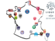 Ligue 1