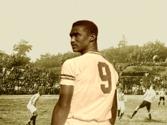 Didi, l'art de la feuille morte