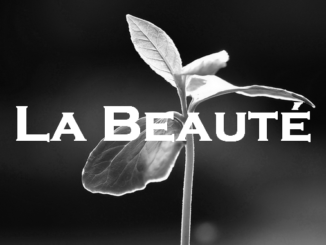 La Beauté