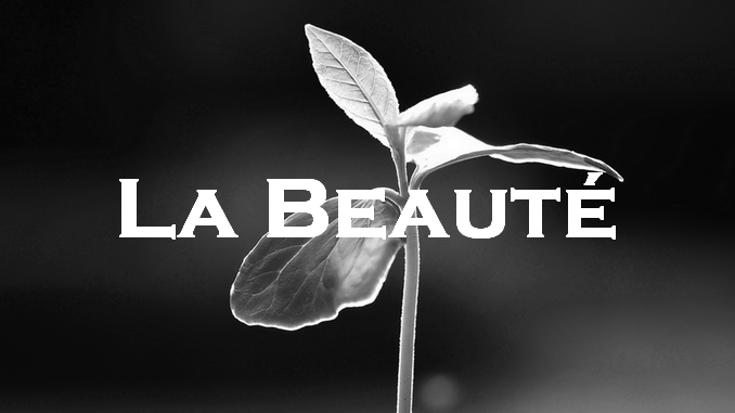 La Beauté