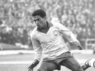 Garrincha était un oiseau splendide