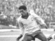 Garrincha était un oiseau splendide