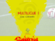Multiligue 1