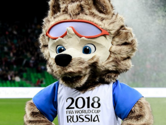 1 - Le nombre de mascottes de la compétition