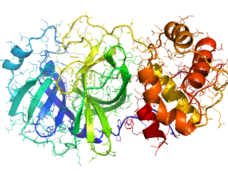 Image de synthèse du coronavirus
