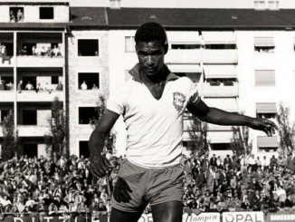 Didi, l'inventeur de la feuille morte