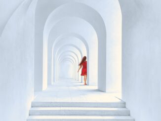 Une femme, fatale idée